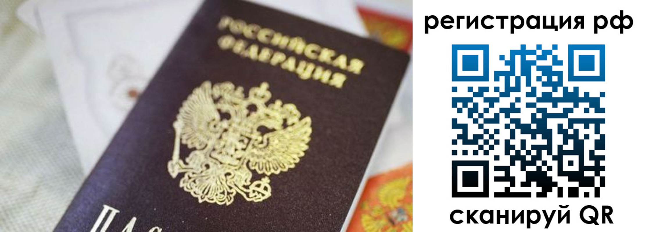 прописка гарантия в Шилке